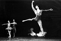 Les Grands Ballets Canadiens